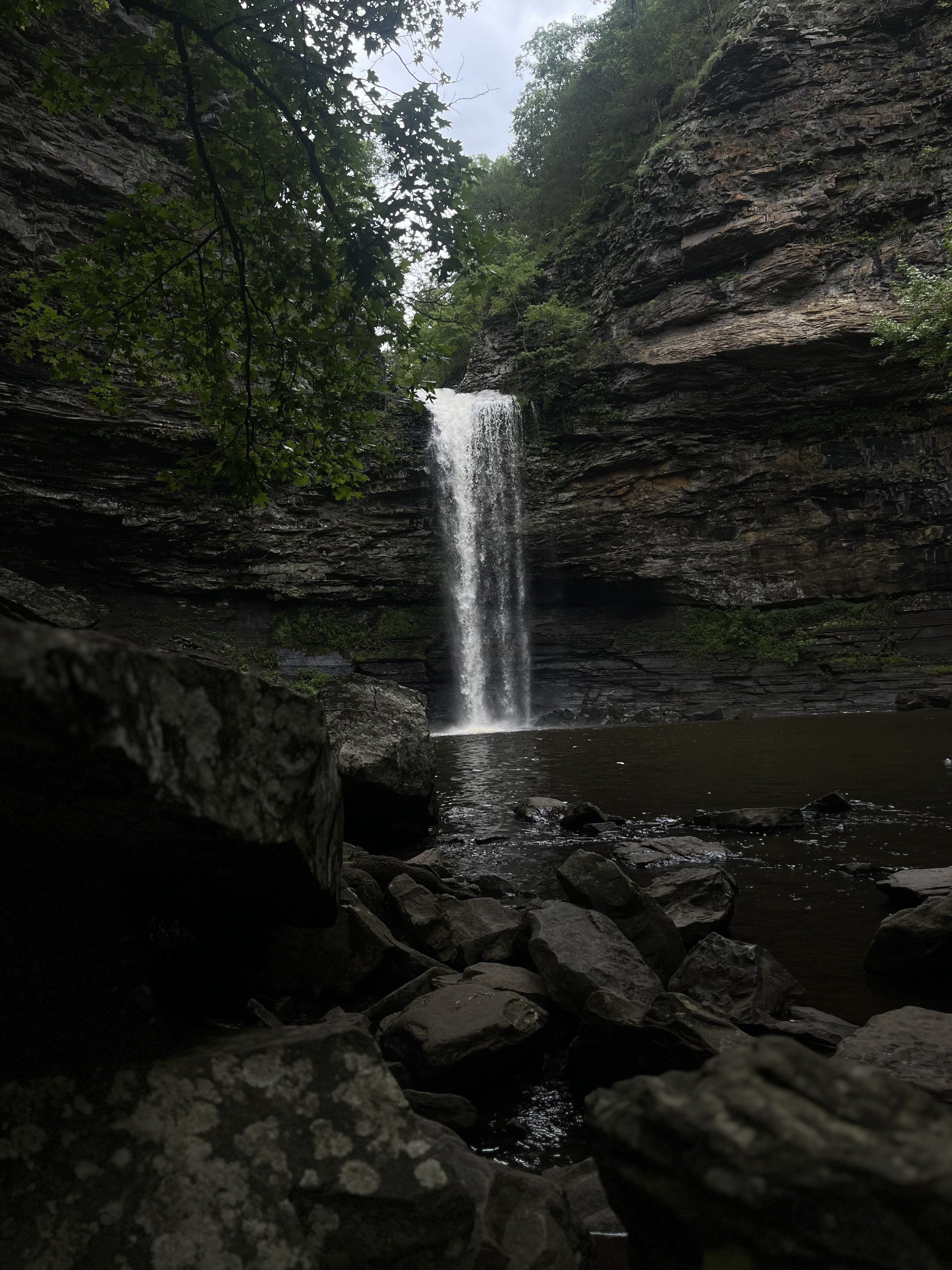 Petit Jean