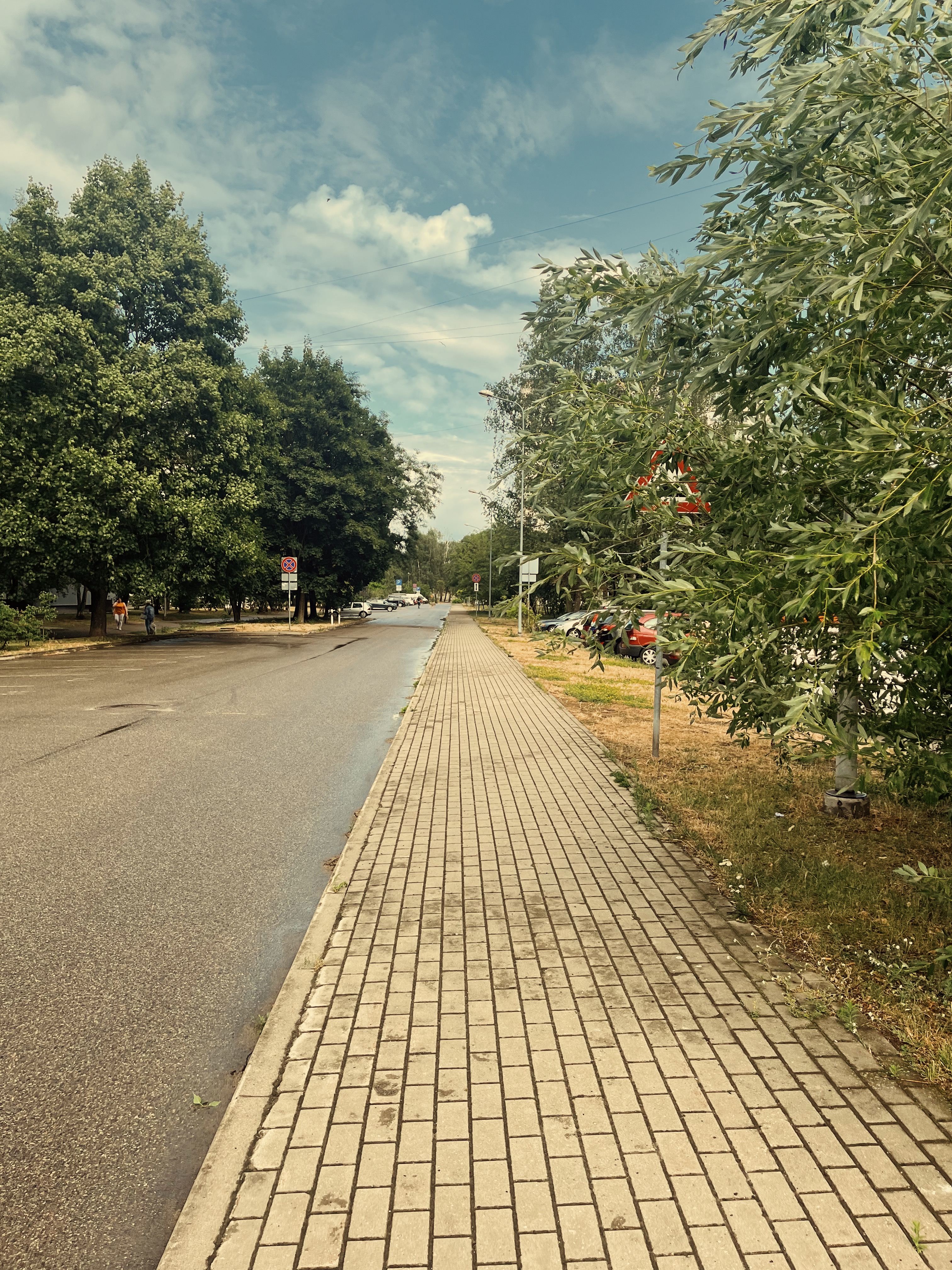 Latvia 2023 photo